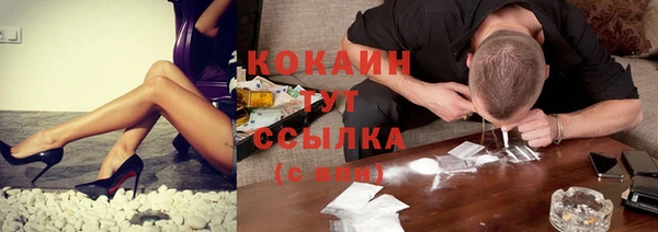 сатива Елабуга