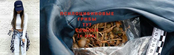 сатива Елабуга