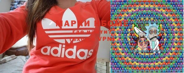 сатива Елабуга