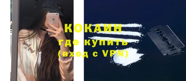 сатива Елабуга