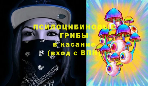 сатива Елабуга
