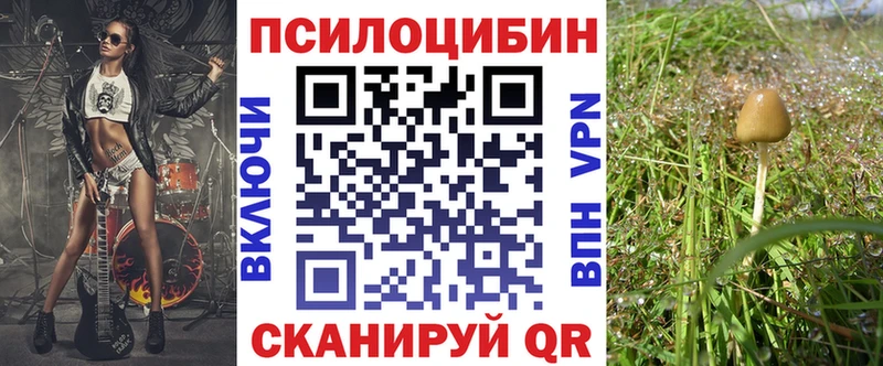 Псилоцибиновые грибы Psilocybe  купить наркотик  Звенигово 
